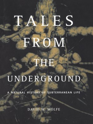 cover image of Tales From the Underground